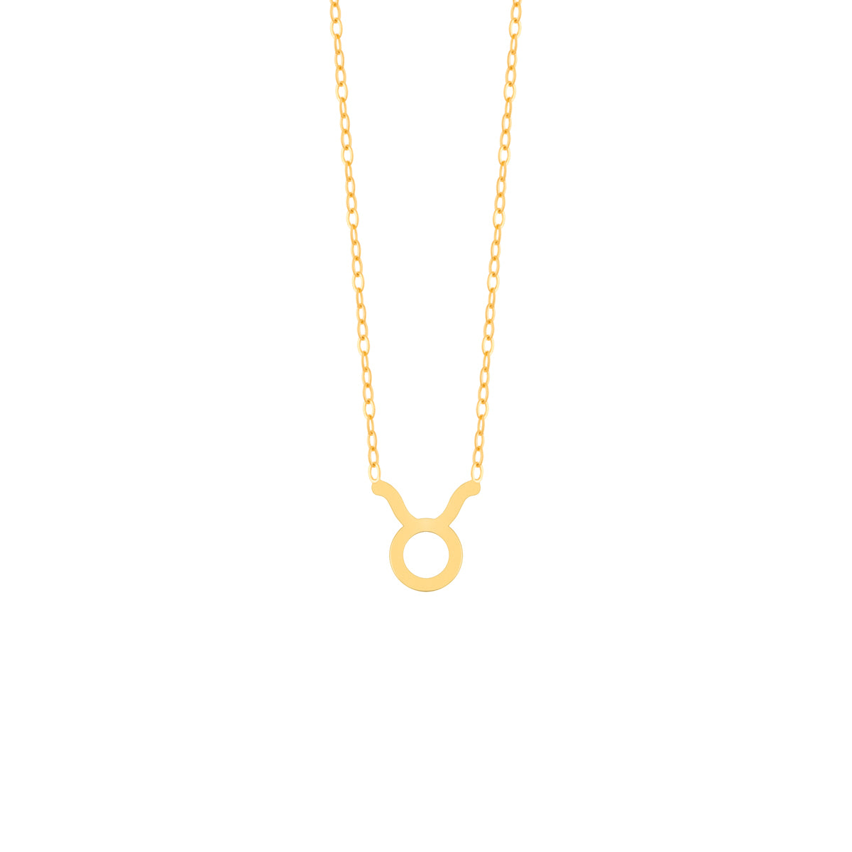 Taurus Chain Necklace
