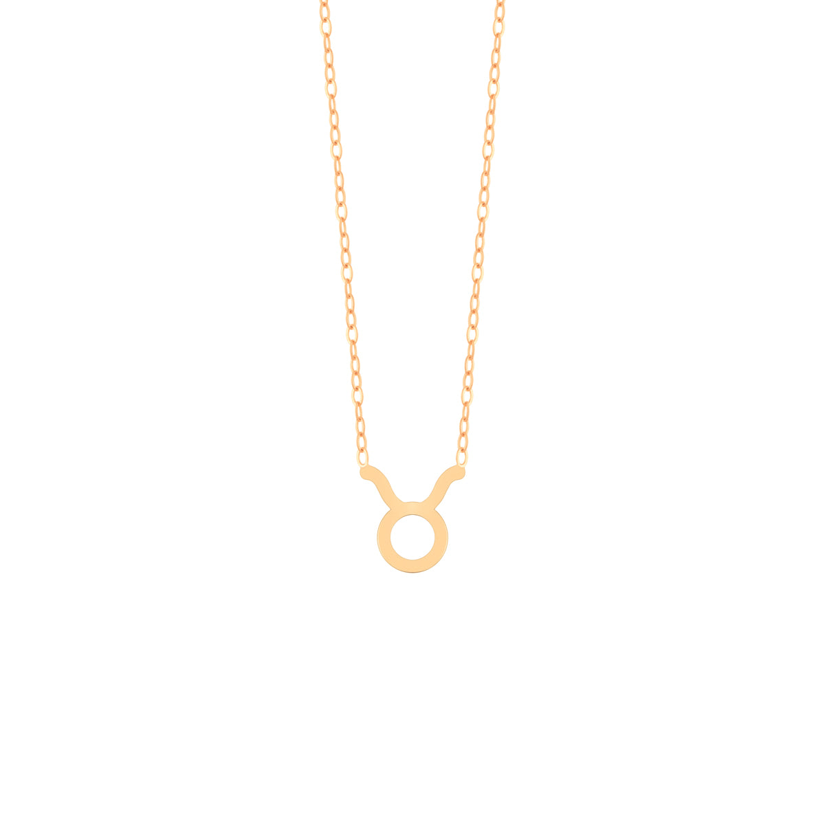 Taurus Chain Necklace