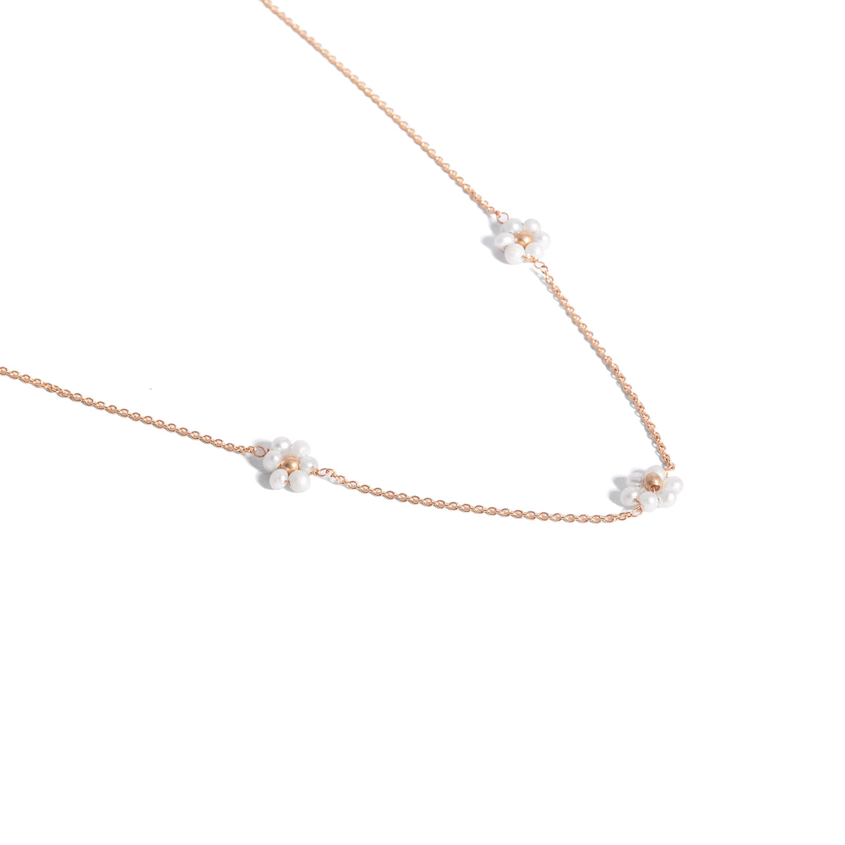 قلادة زهور البابونج