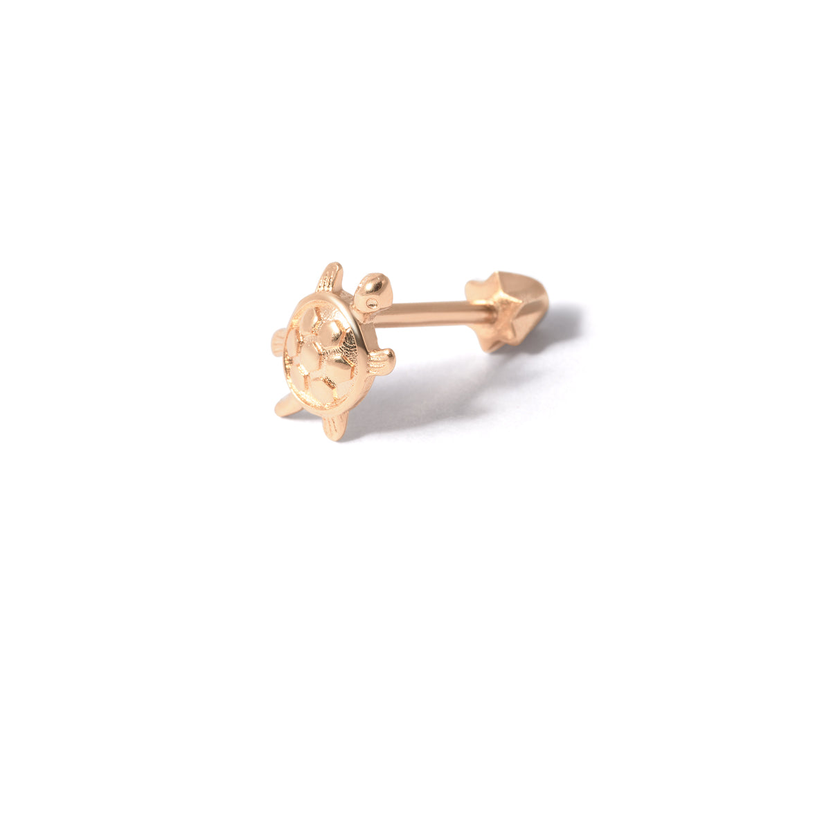 Golden Turtle Piercing