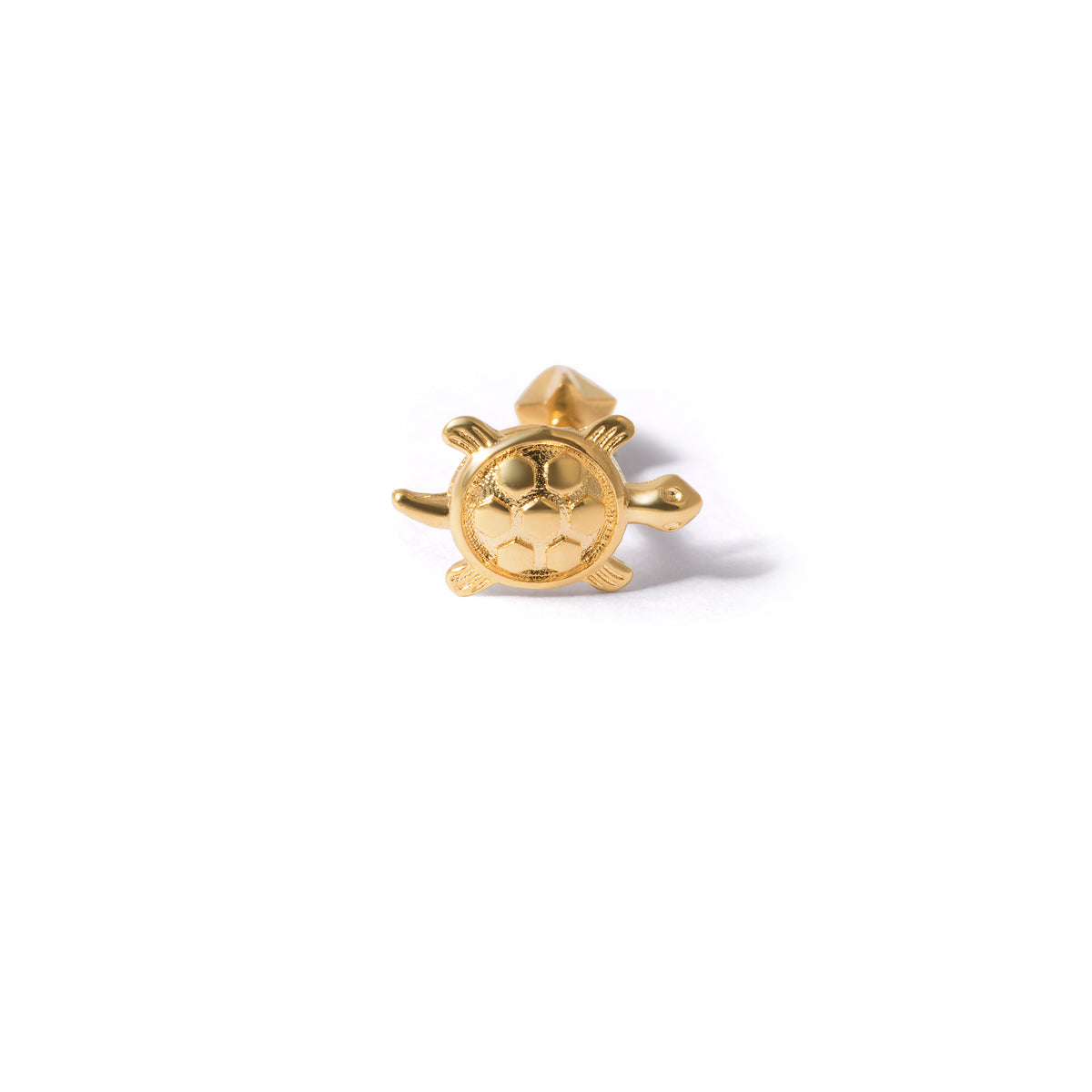 Golden Turtle Piercing