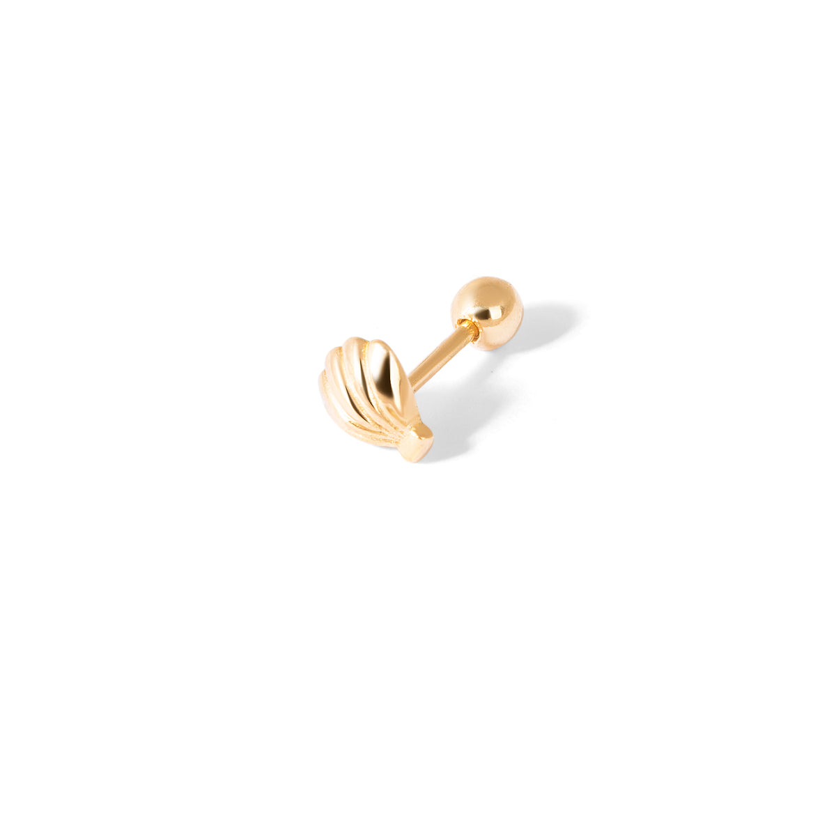 Sea Shell Piercing