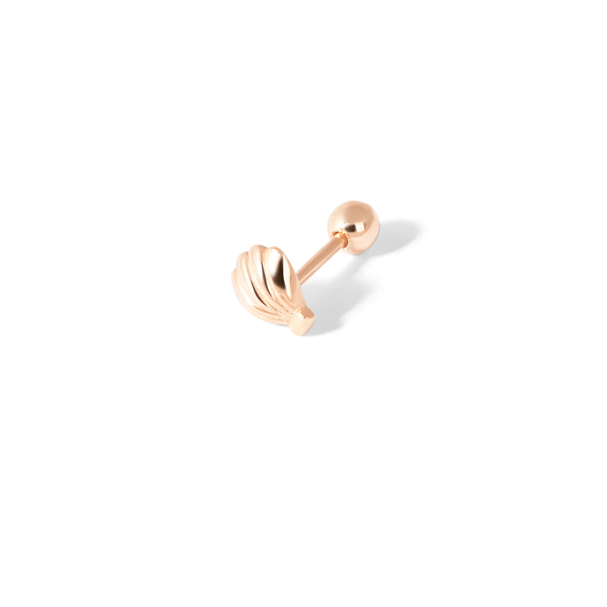 Sea Shell Piercing