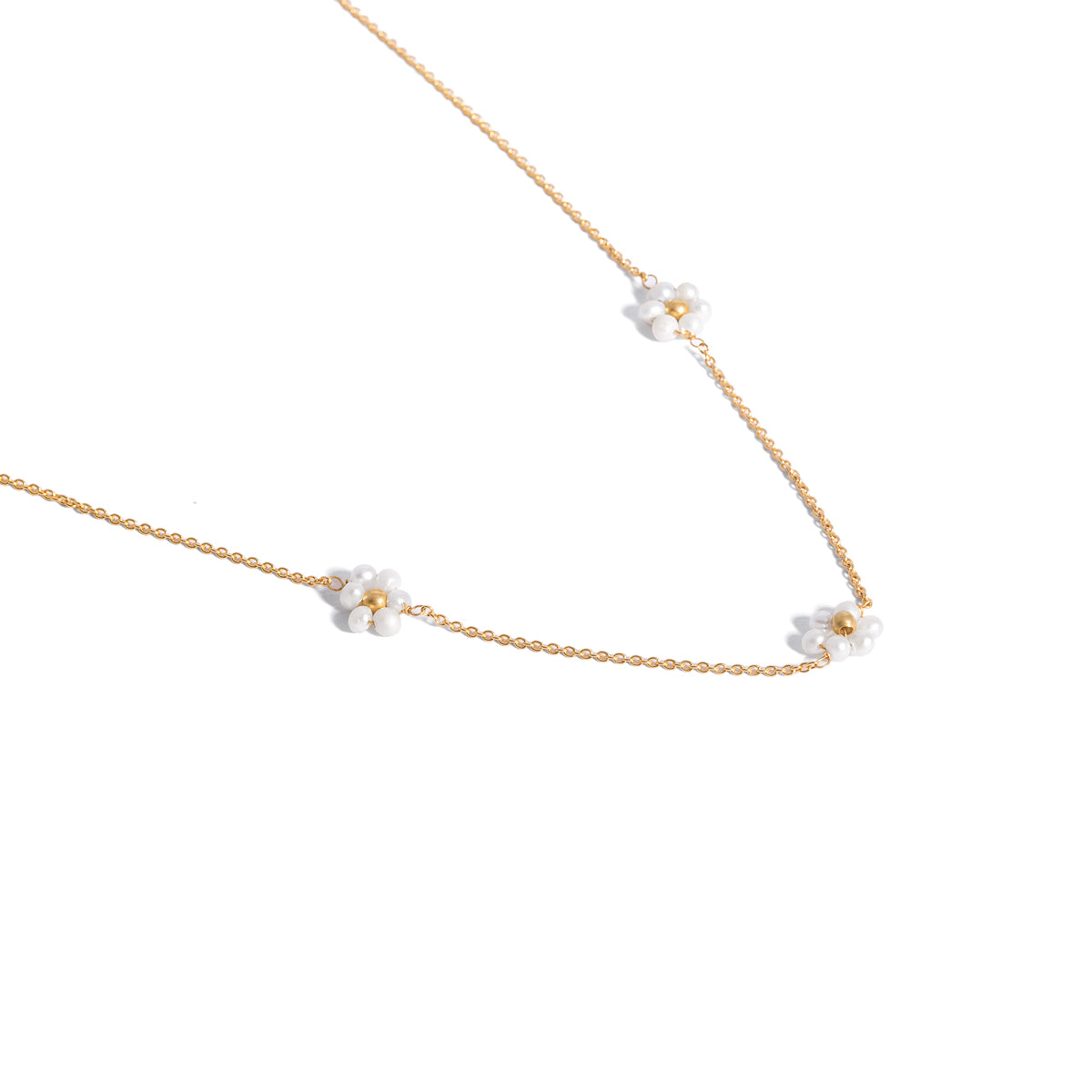 قلادة زهور البابونج