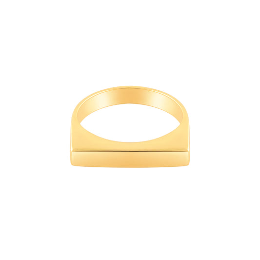 Slim Rectangular signet Ring